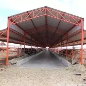 1140 افق جدة للهناجر والمظلات ساندوتش بانل | هناجر